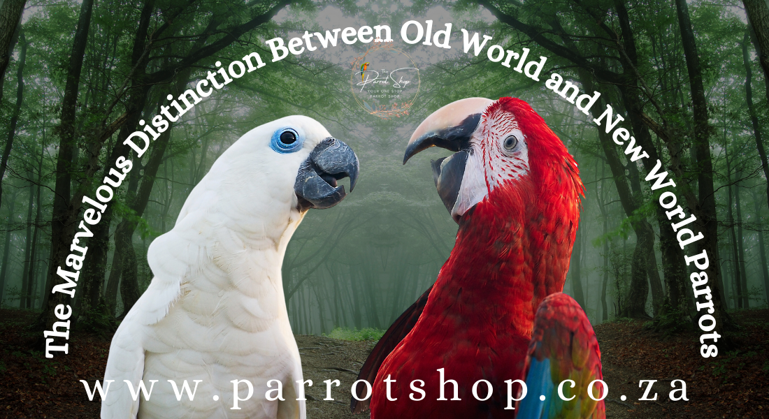 The Marvellous Distinction Between Old World and New World Parrots 