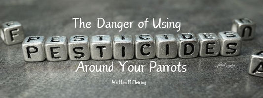 The Danger of Using Pesticides Around Your Parrots