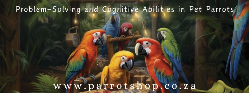 Illustration of Parrot Cognitive Abilities Research
