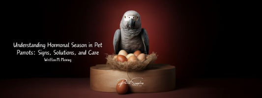 Understanding Hormonal Season in Pet Parrots: Signs, Solutions, and Care