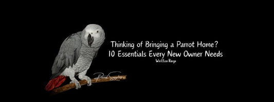 Thinking of Bringing a Parrot Home? 10 Essentials Every New Owner Needs 🦜✨
