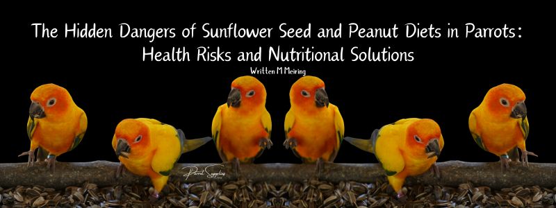 The Hidden Dangers of Sunflower Seed and Peanut Diets in Parrots: Health Risks and Nutritional Solutions