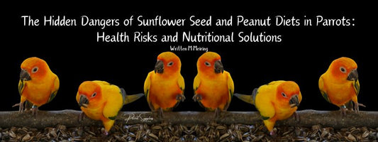 The Hidden Dangers of Sunflower Seed and Peanut Diets in Parrots: Health Risks and Nutritional Solutions