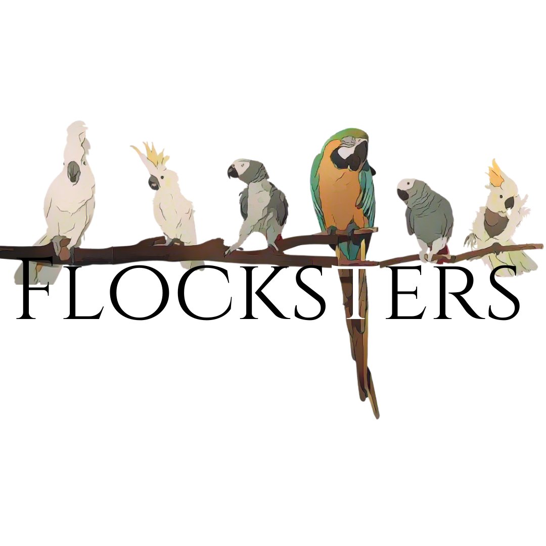 The Flocksters