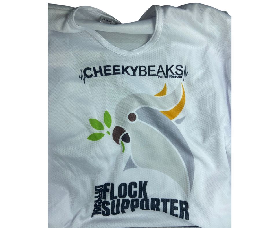 Cheeky Beaks Top