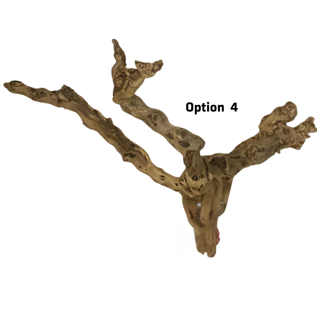 Cage Branch
