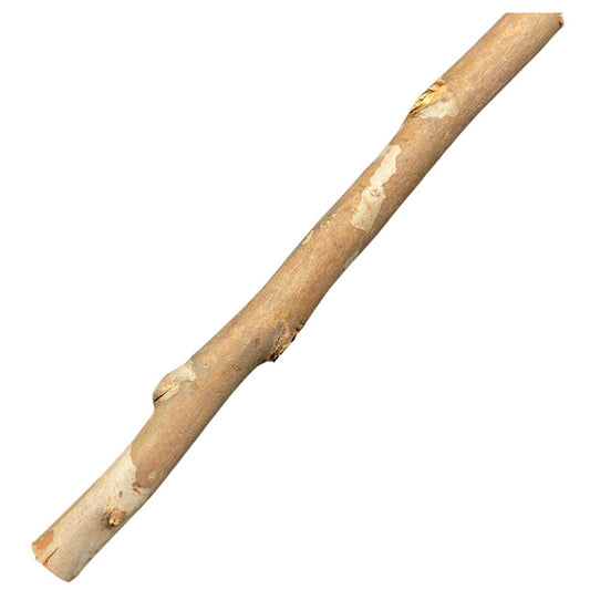 1.2m Eucalyptus Branch