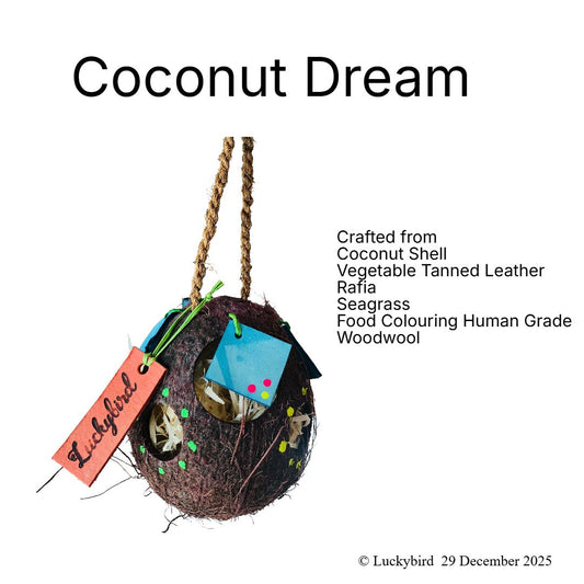 Foraging Coconut Dream