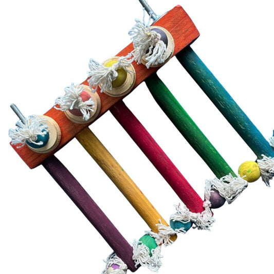 Medium Clip on Ladder