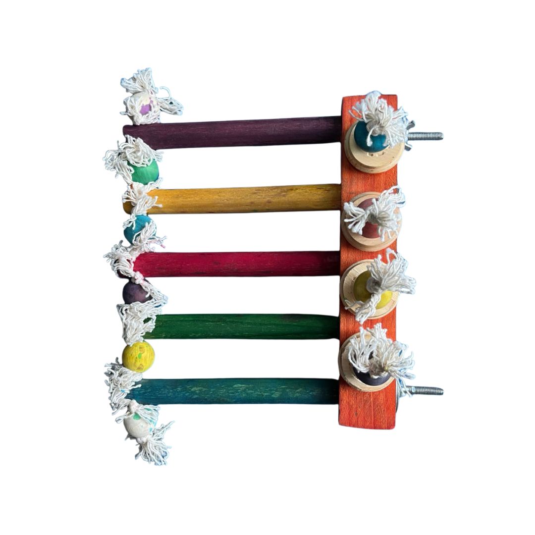 Medium Clip on Ladder