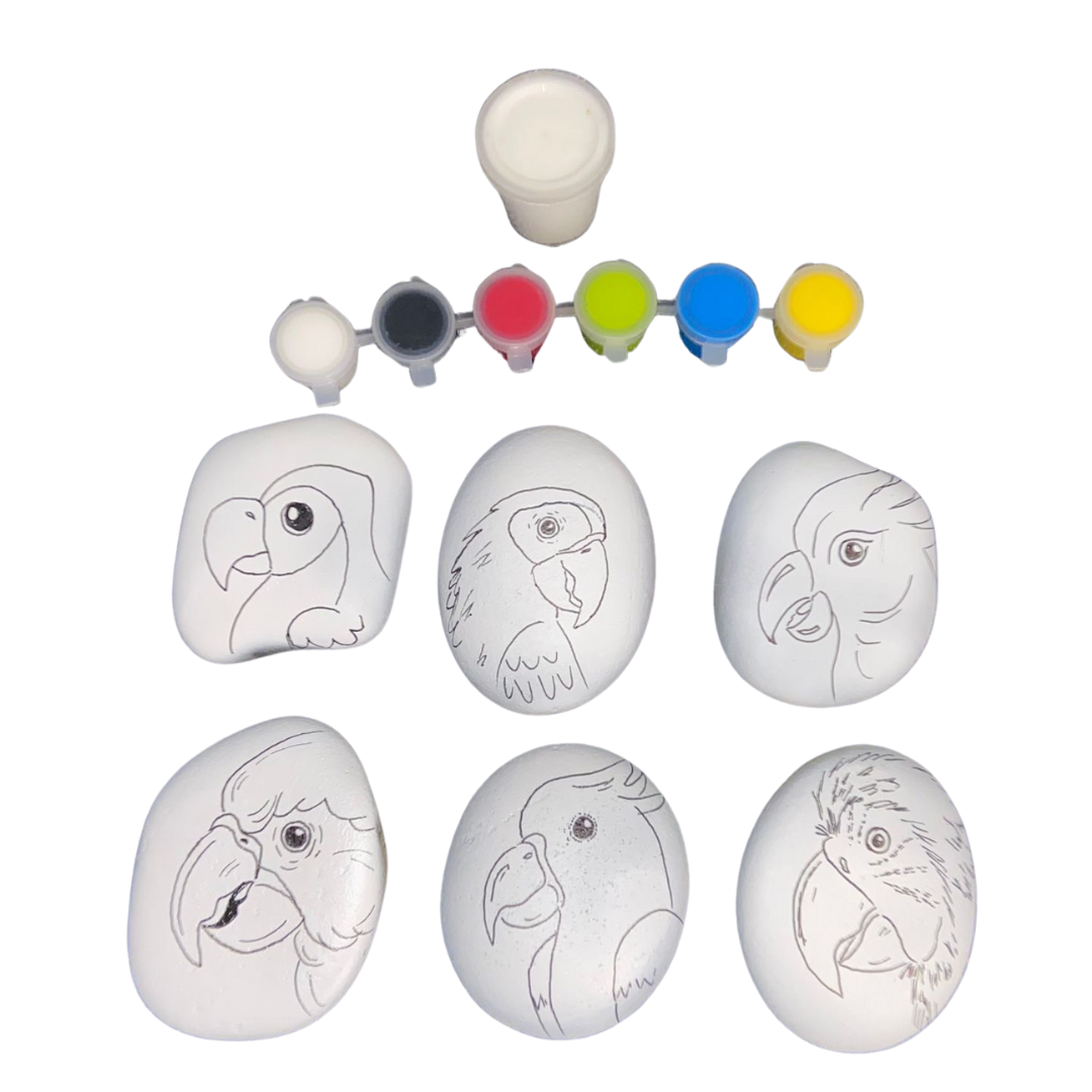 Rock Art Kit