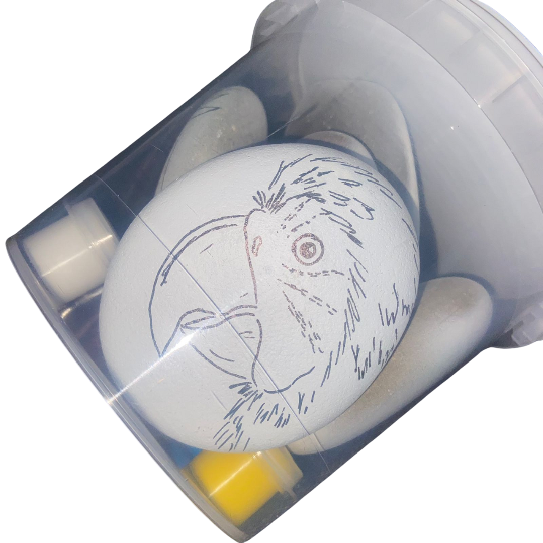 Rock Art Kit