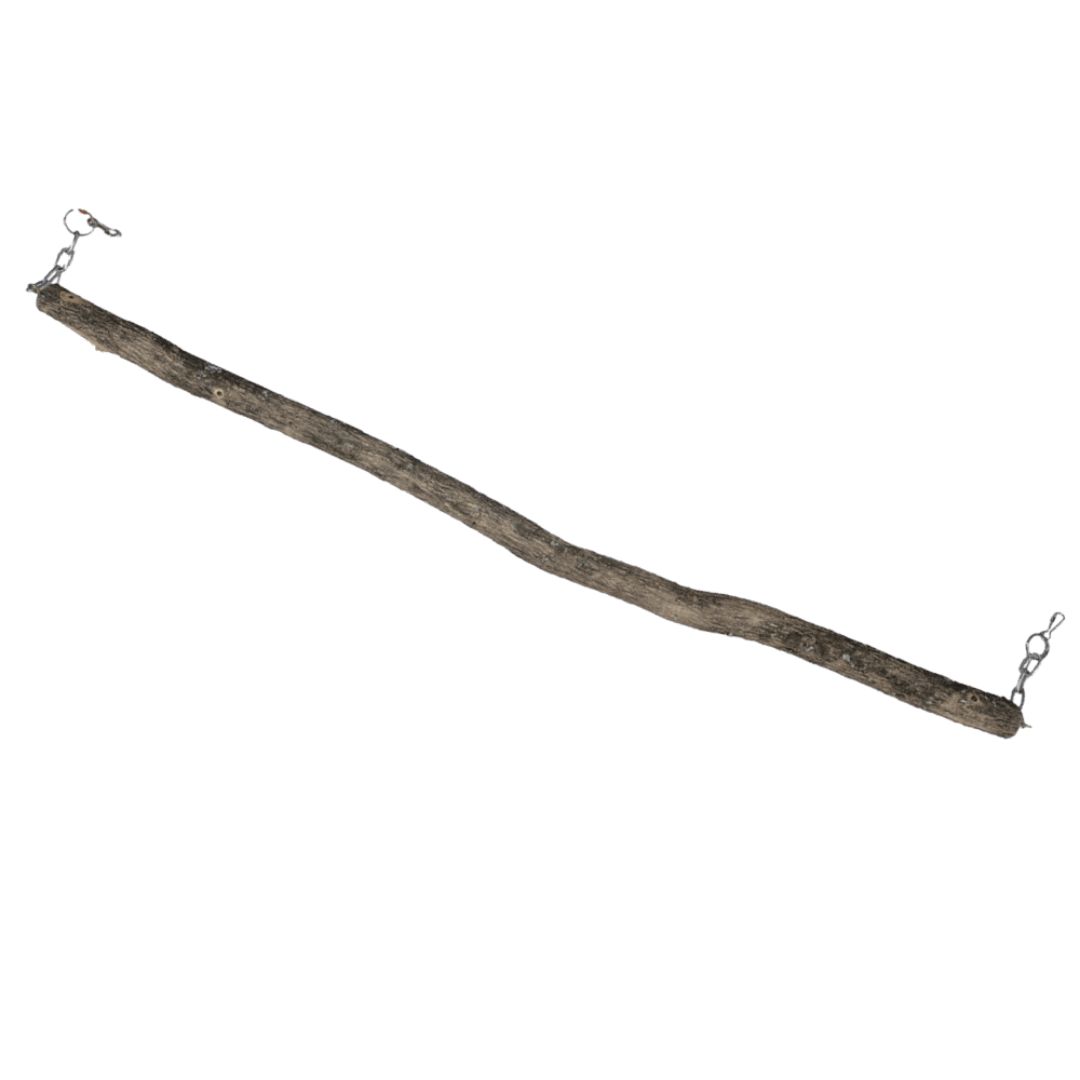 SEKELBOS PERCH ON CHAIN