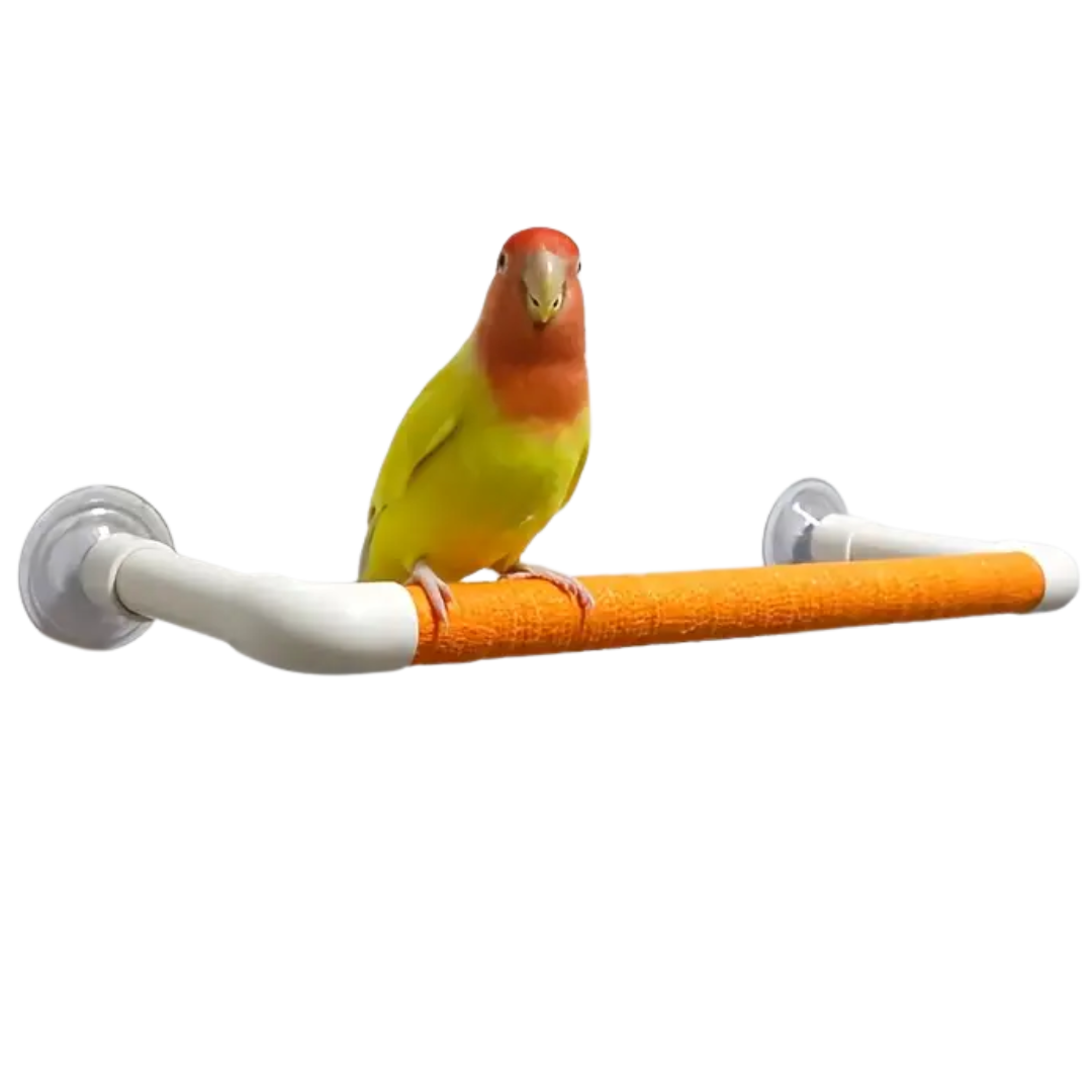 Window/ Shower Perch