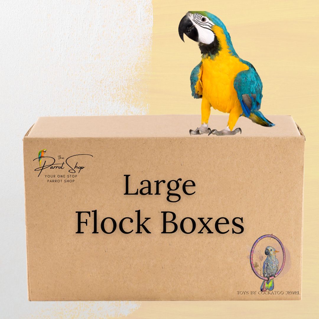 Flock Boxes