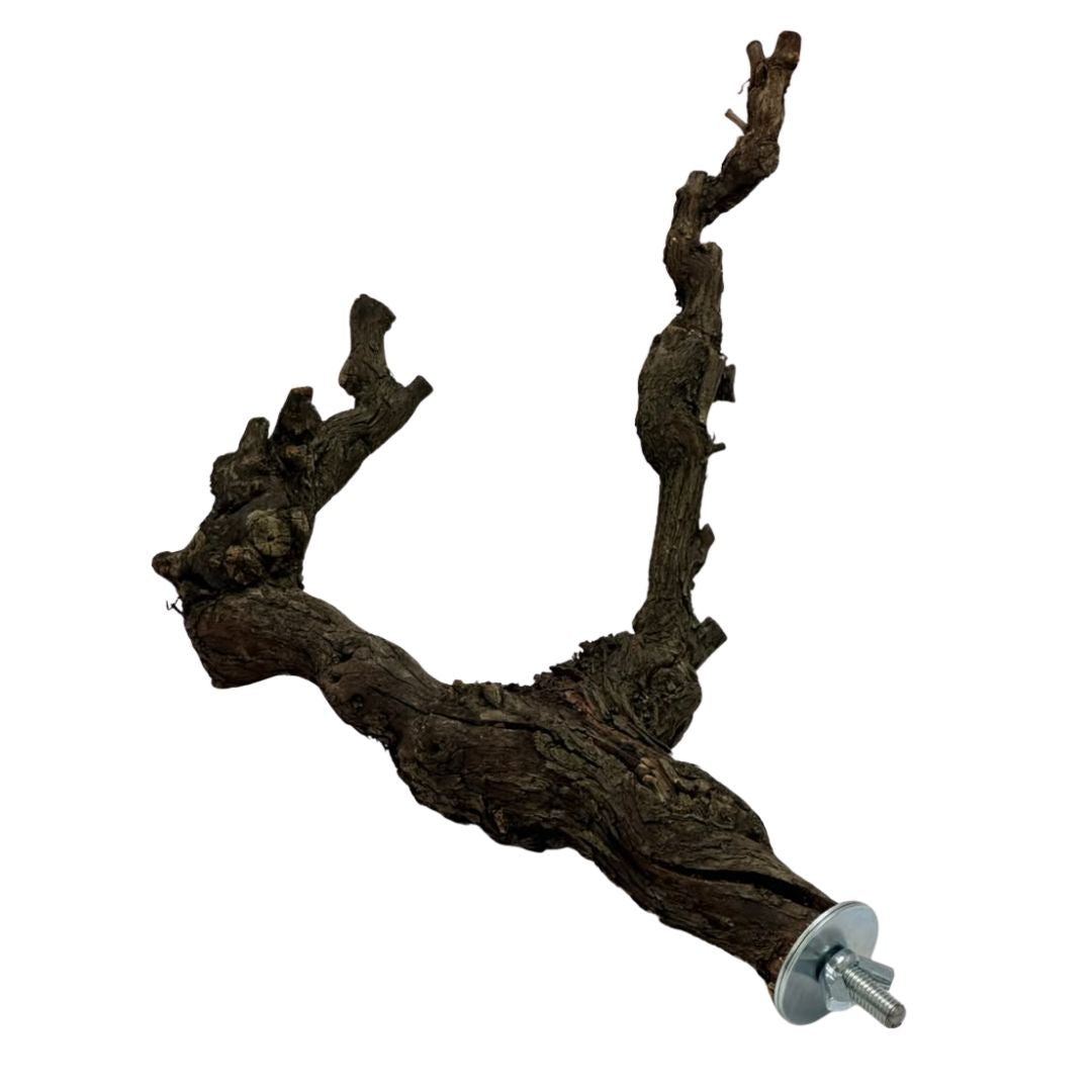 Grapevine Perches