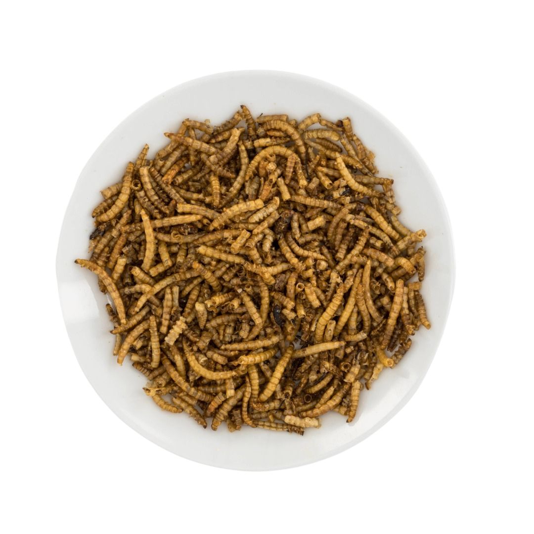Mealworms