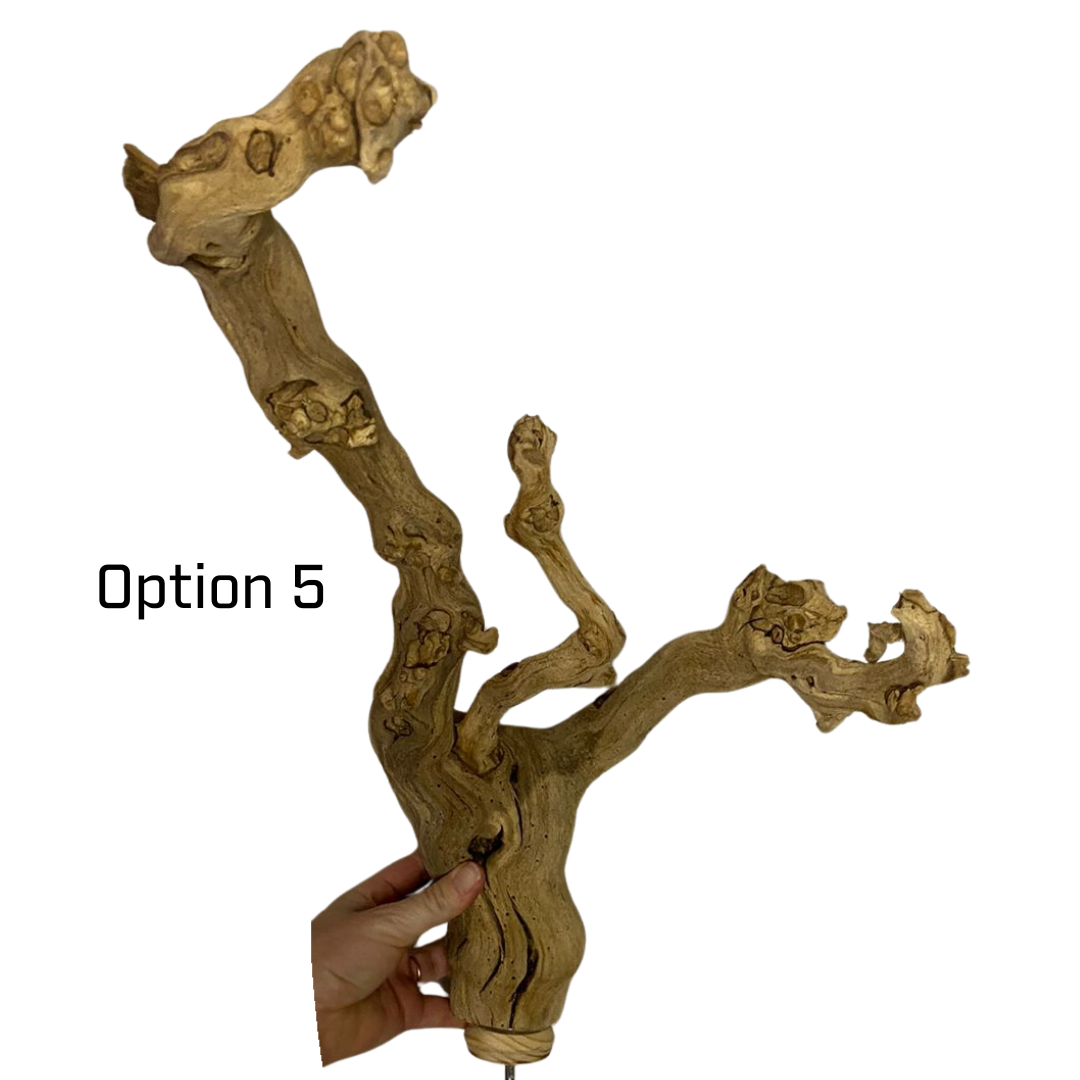 Mini Cage Topper Stands