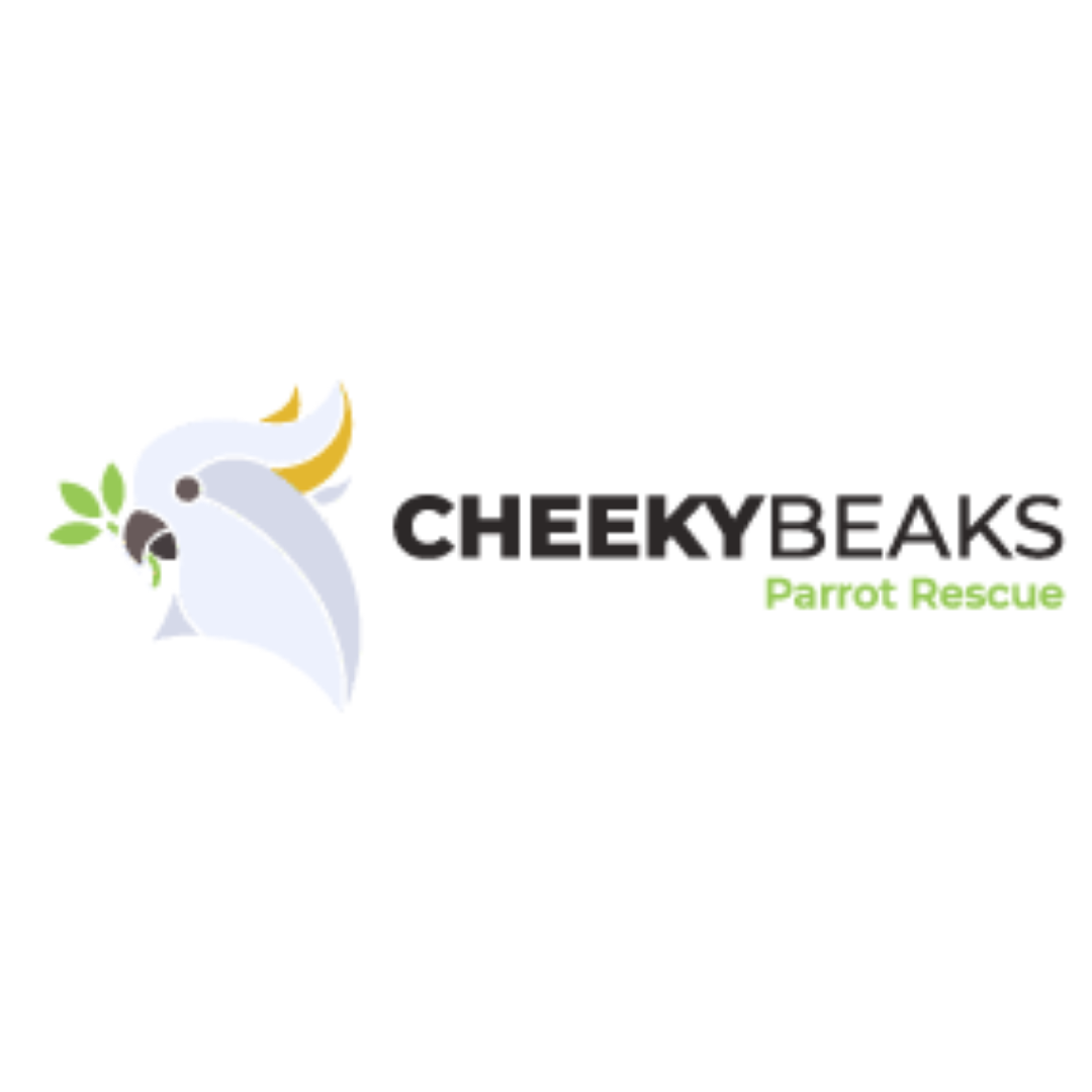 Cheeky Beeks Parrot Rescue