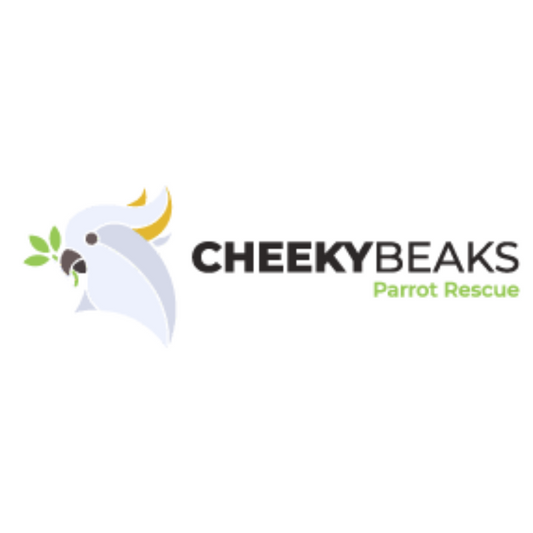 Cheeky Beeks Parrot Rescue