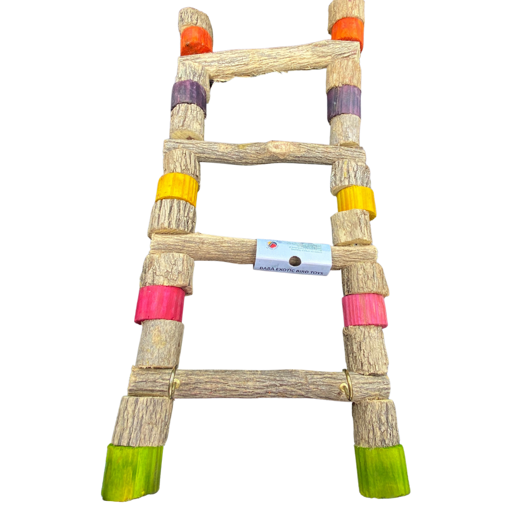 4 Rung Ladder