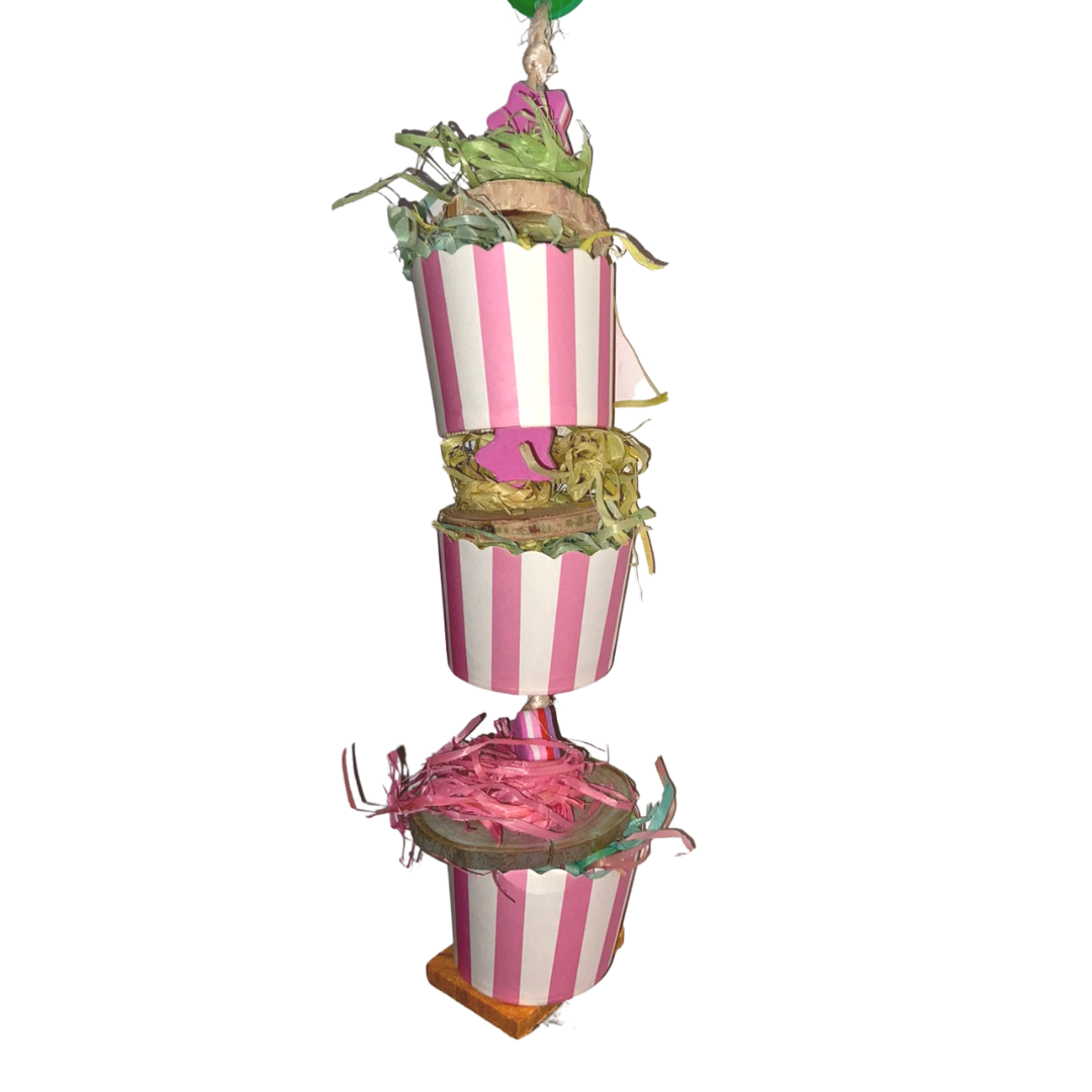 B6 Cupcake Foraging Frenzy