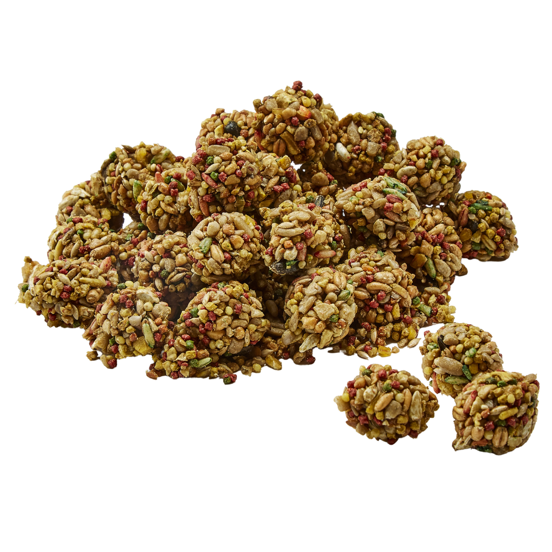 Healthy Bits Parrot Treats