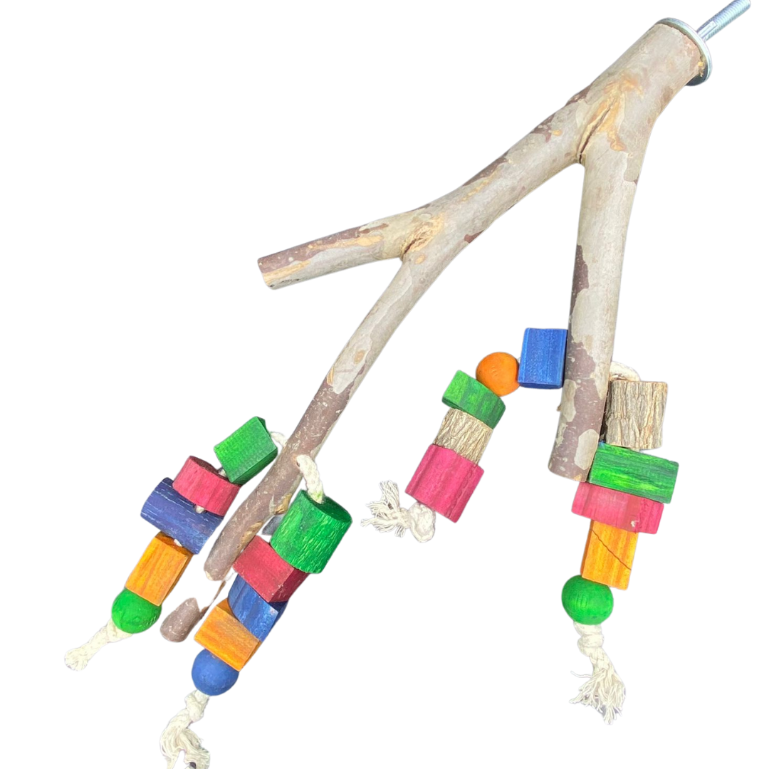 Bluegum Perch With Toys