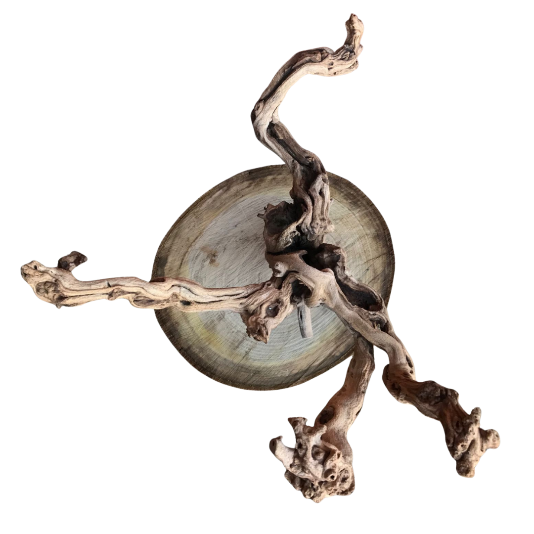 Tabletop Playstands
