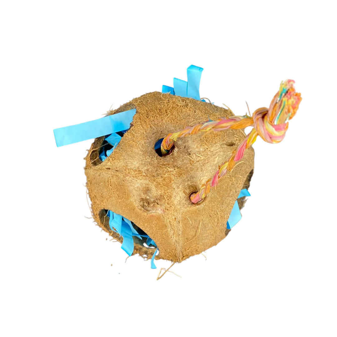 Foraging Coconut Toy