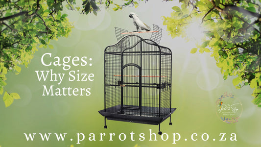 Cages: Why Size Matters