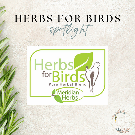 Herbs for Birds