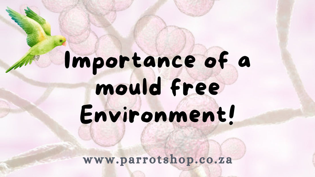 Importance of a mould Free Environment