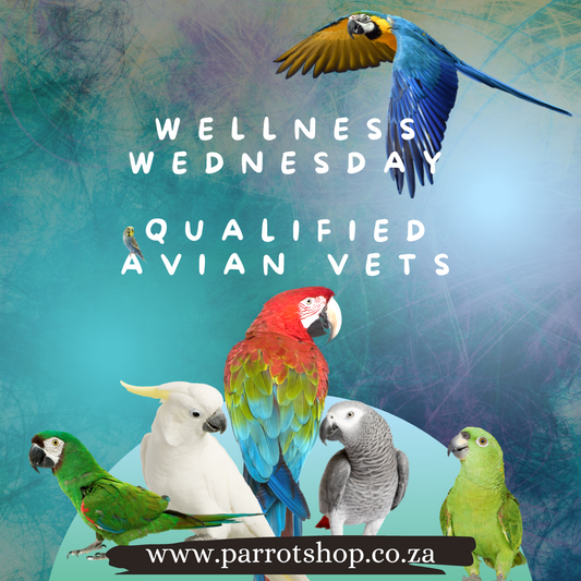 Qualified avian veterinarian
