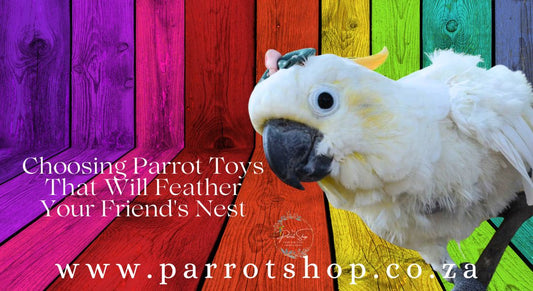 Squawk-tastic Fun! Choosing Parrot Toys That Will Feather Your Friend's Nest