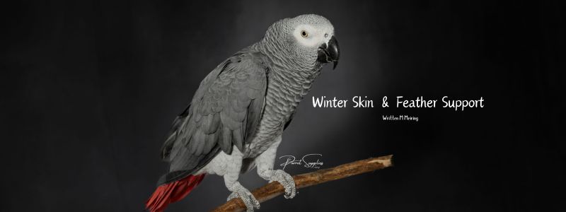 Winter Skin & Feather Support for Parrots