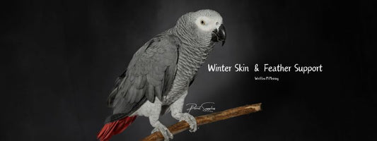 Winter Skin & Feather Support for Parrots