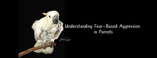 Understanding Fear-Based Aggression in Parrots