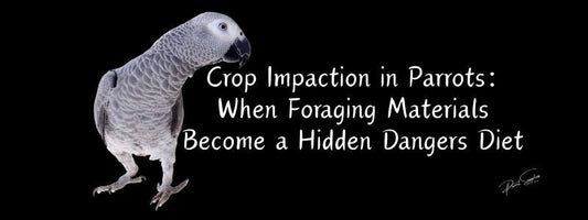 🦜 Crop Impaction in Parrots: When Foraging Materials Become a Hidden Danger