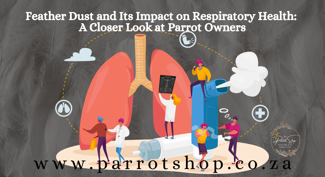 Feather Dust and Its Impact on Respiratory Health: A Closer Look at Pa ...