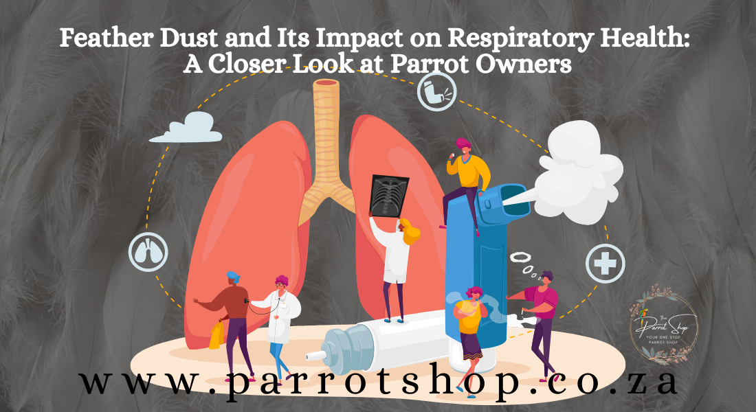 Feather Dust and Its Impact on Respiratory Health: A Closer Look at Parrot Owners