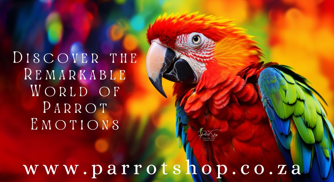 Discover the Remarkable World of Parrot Emotions