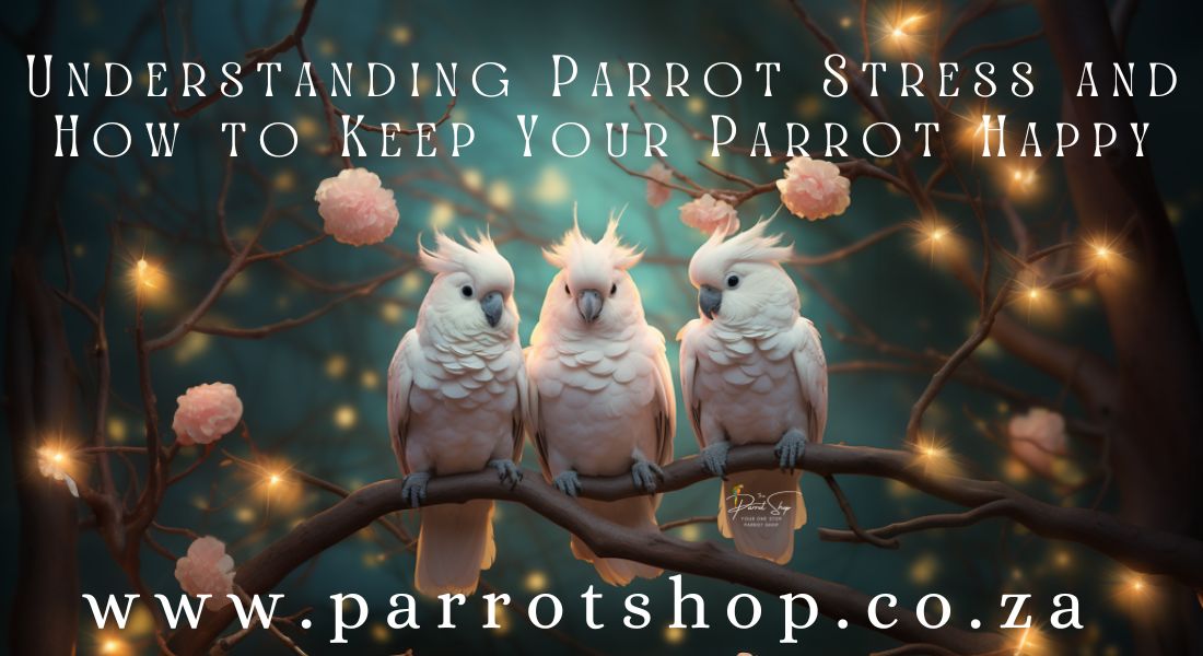 Understanding Parrot Stress and How to Keep Your FID Happy