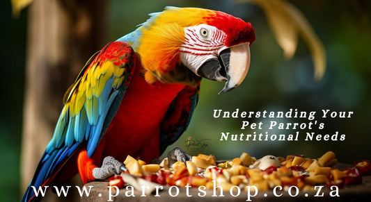 Understanding Your Pet Parrot's Nutritional Needs