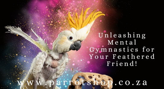 Unleashing Mental Gymnastics for Your Feathered Friend!