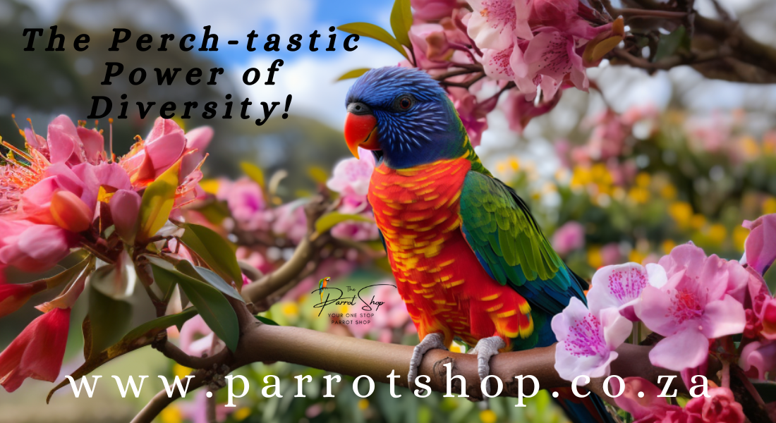 The Perch-tastic Power of Diversity: Why Your Parrot Needs a Perch Buffet!