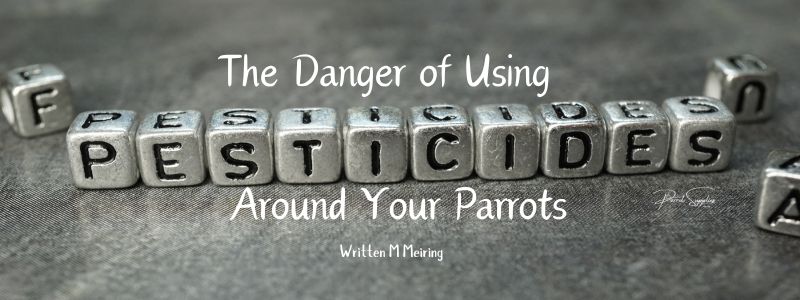 The Danger of Using Pesticides Around Your Parrots