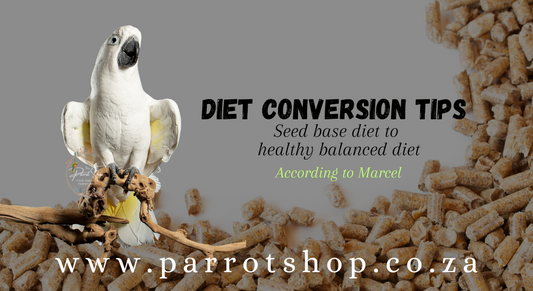 Diet Conversion Step by Step