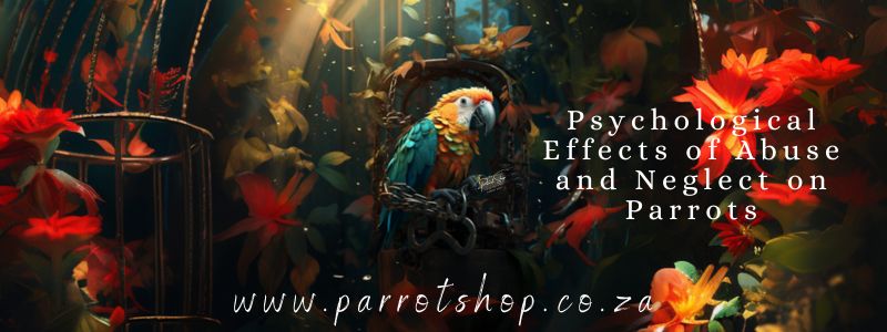 Psychological Effects of Abuse and Neglect on Parrots