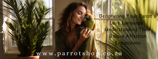 Deciphering Your Parrot's Love Language: Understanding Their Unique Affection Expressions